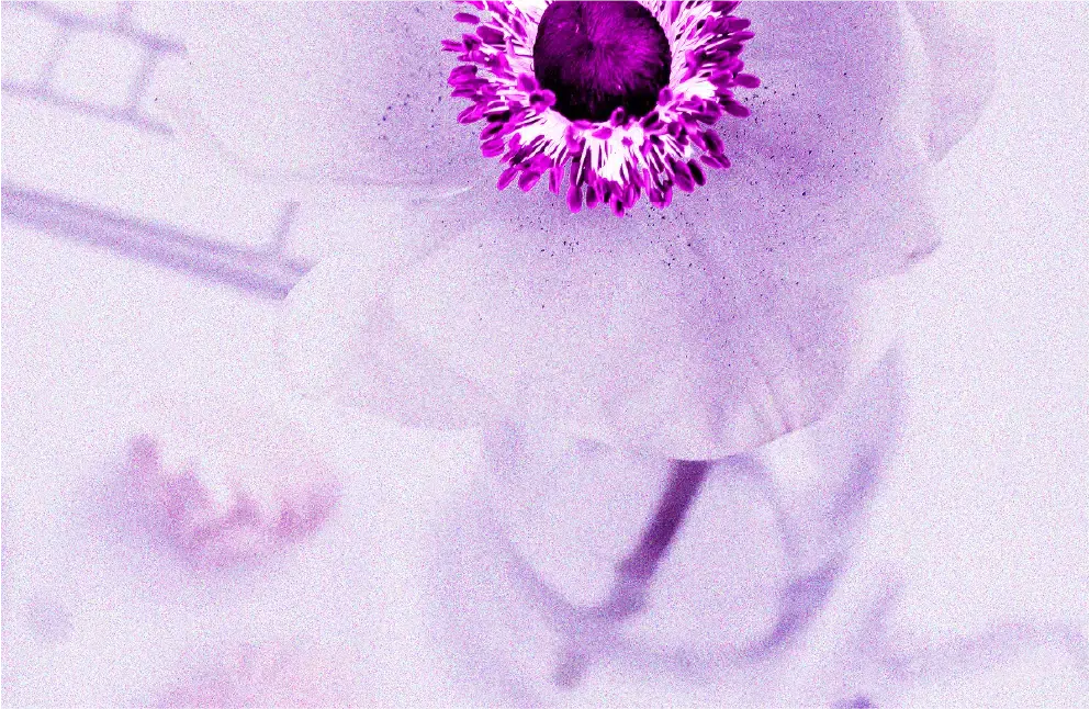 Les techniques de persuasion : ce qu’on ne te dit jamais (et pourquoi tu devrais t’en méfier)